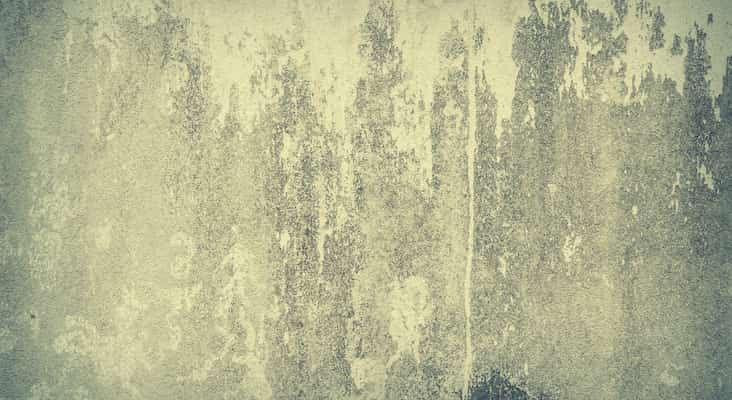 7 Cara Mengatasi Tembok Rembes yang Terbukti Ampuh